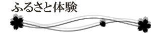 グラウンド