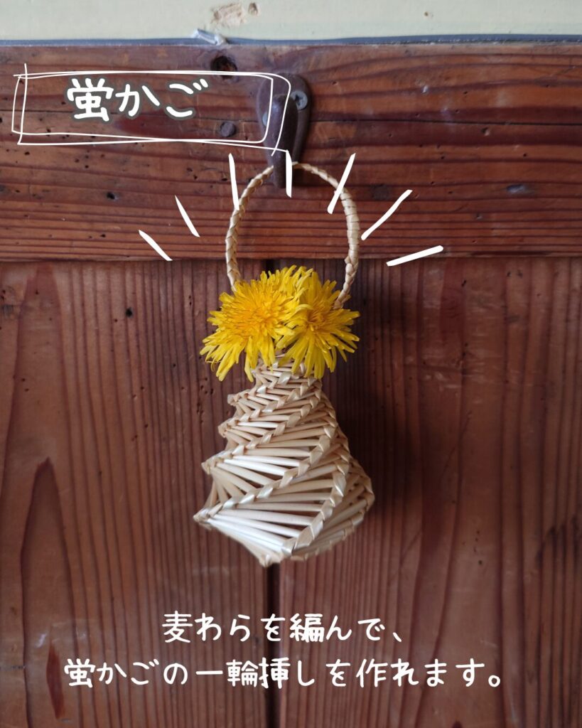 蛍かご作り